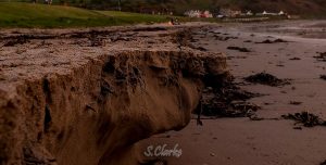 5BrownsBay