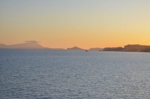 DSC_0383